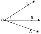 NCERT Solutions for Class 6 Maths Chapter 4 Basic Geometrical Ideas 19